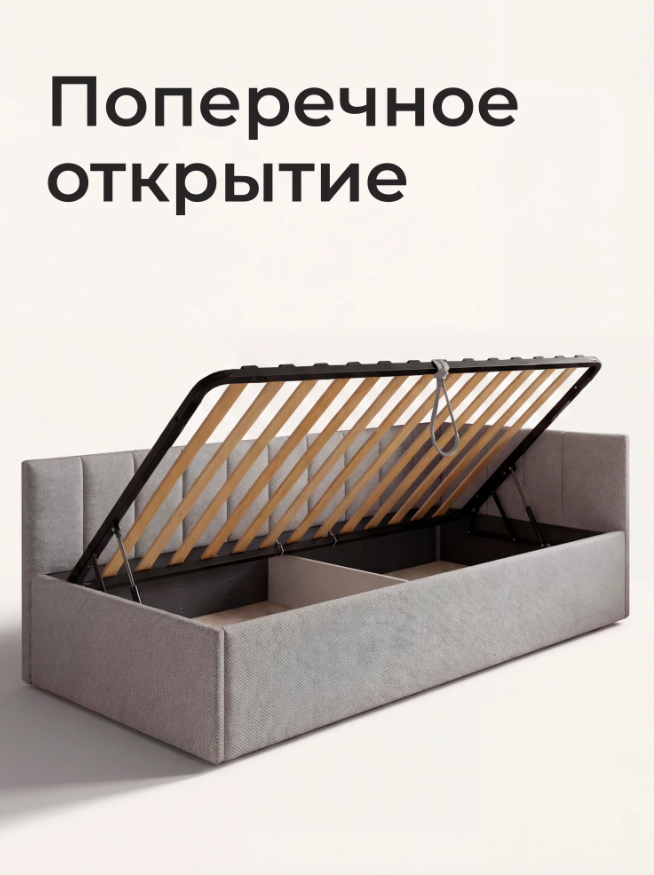 romack-oliver-200120-czvet-svetlo-seraya-shotlandiya-10