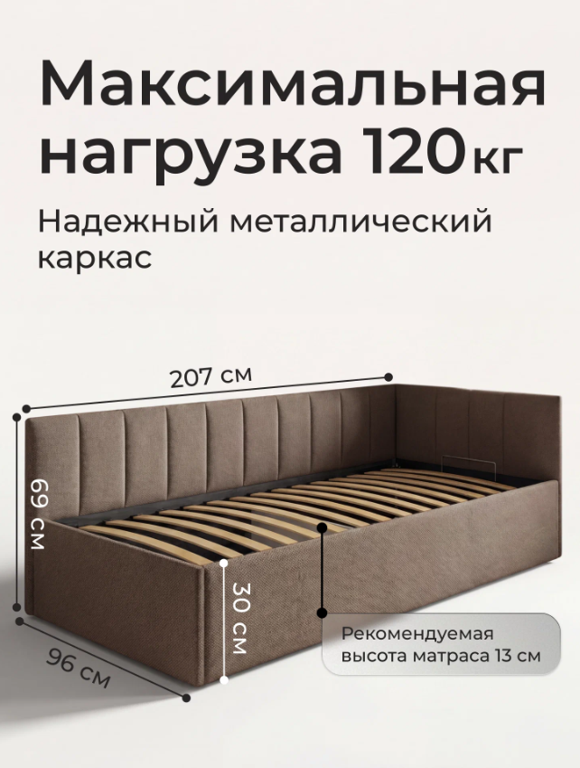 romack-olivia-20090-czvet-korichnevaya-shotlandiya-4