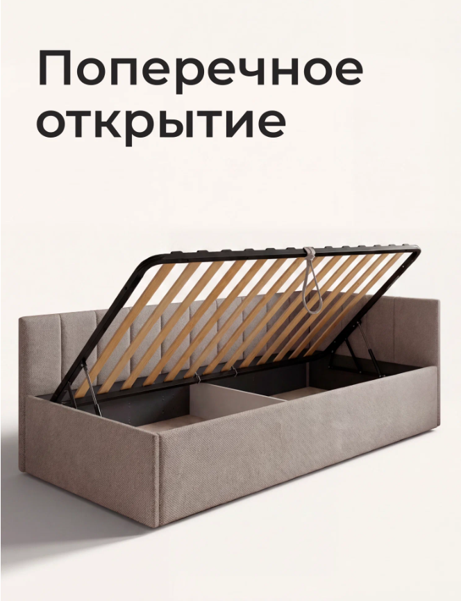 romack-olivia-20090-czvet-svetlo-korichnevaya-shotlandiya-1