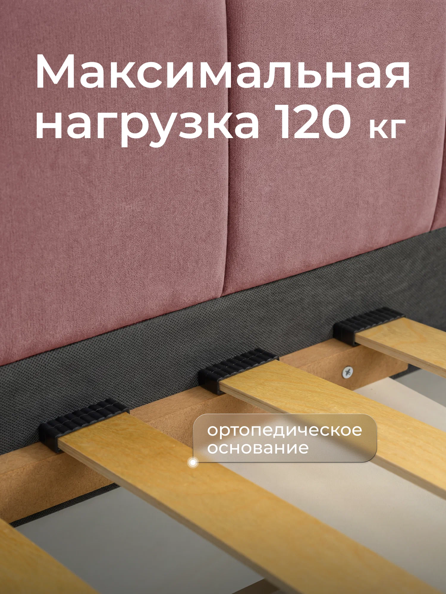 romack-polly-16080-czvet-roza-7